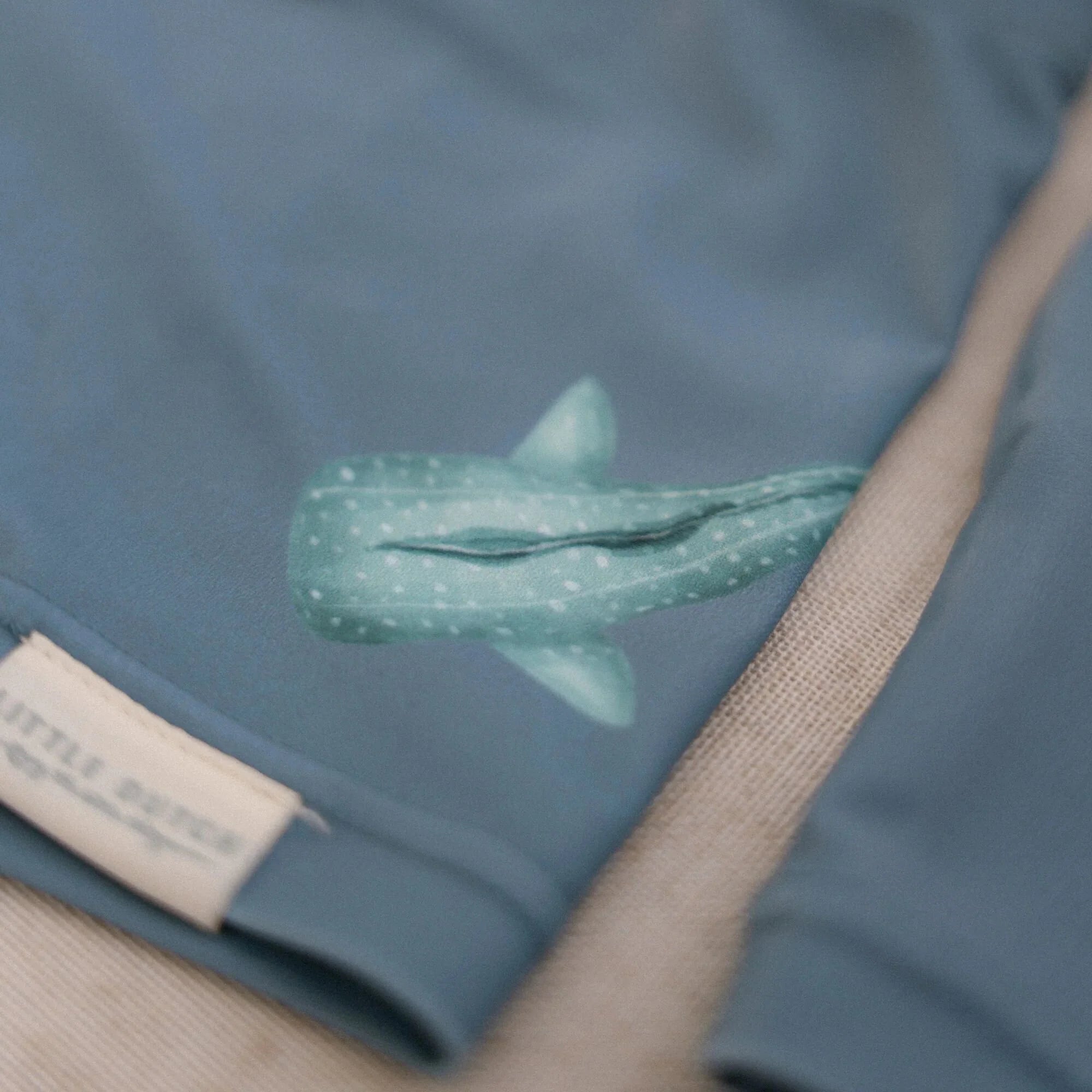 Ocean Sea Life Swim Shorts – Little Dutch