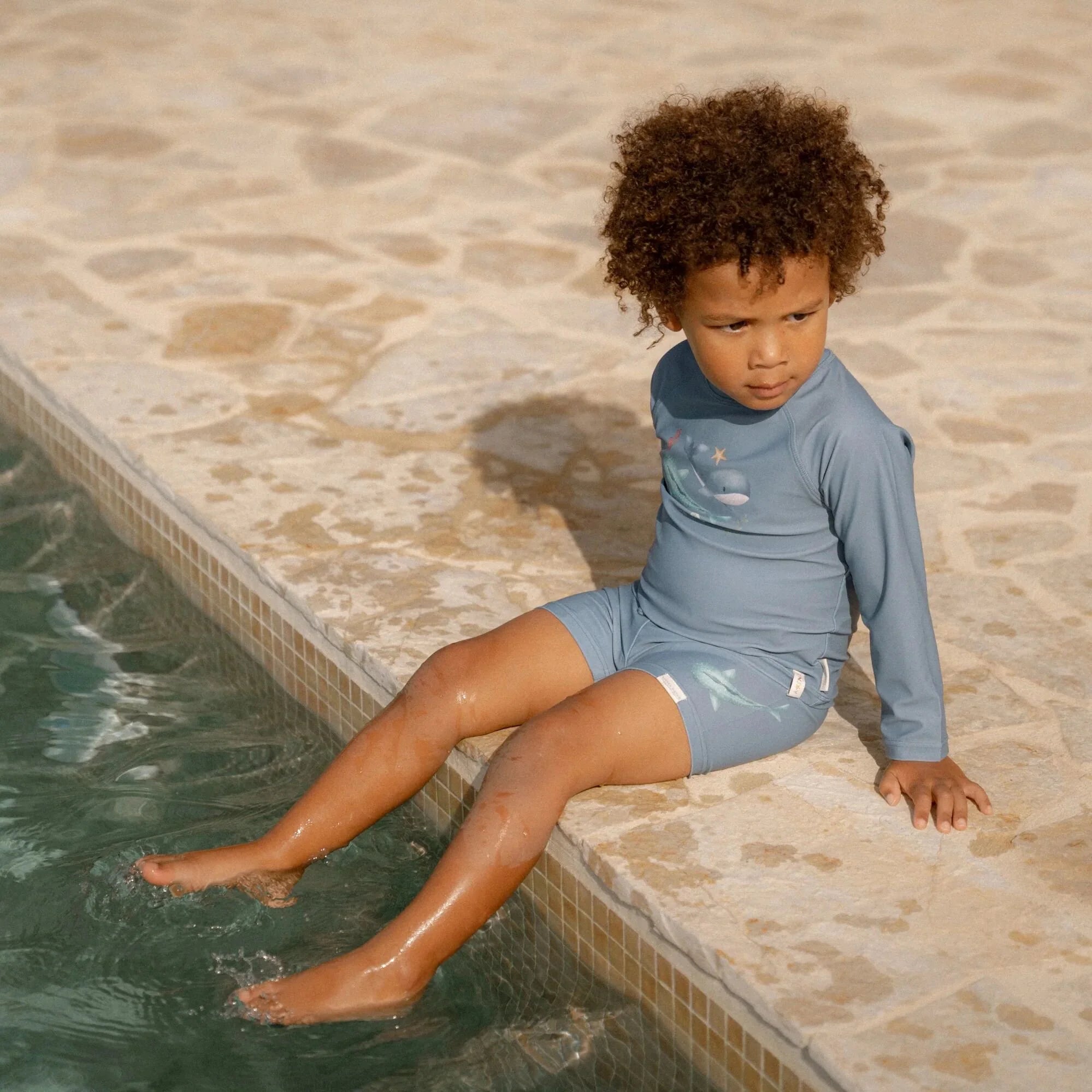 Ocean Sea Life Swim Shorts – Little Dutch