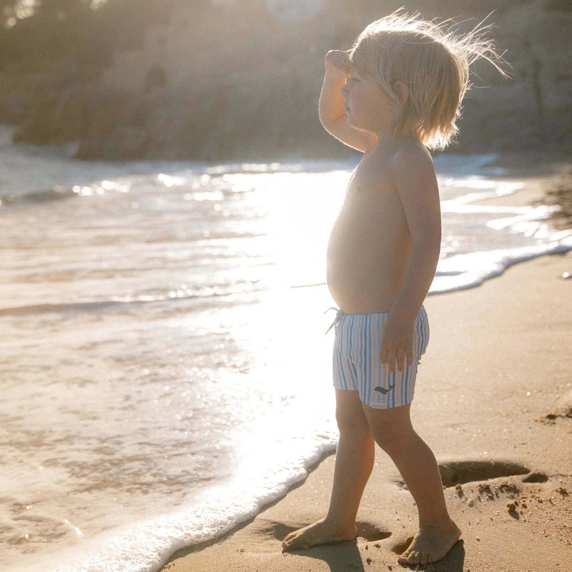 Little Dutch Whale Stripe Swim Shorts