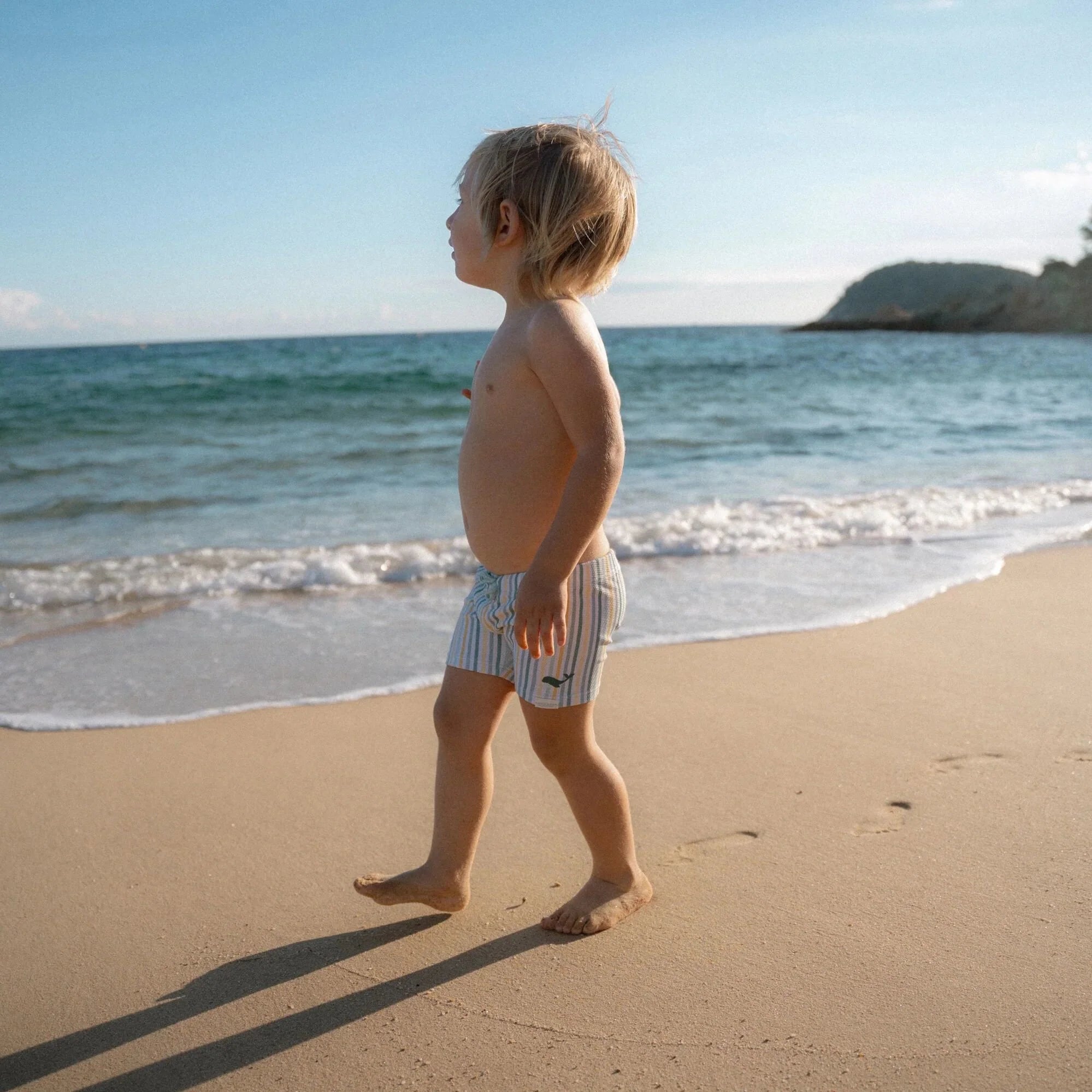 Little Dutch Whale Stripe Swim Shorts