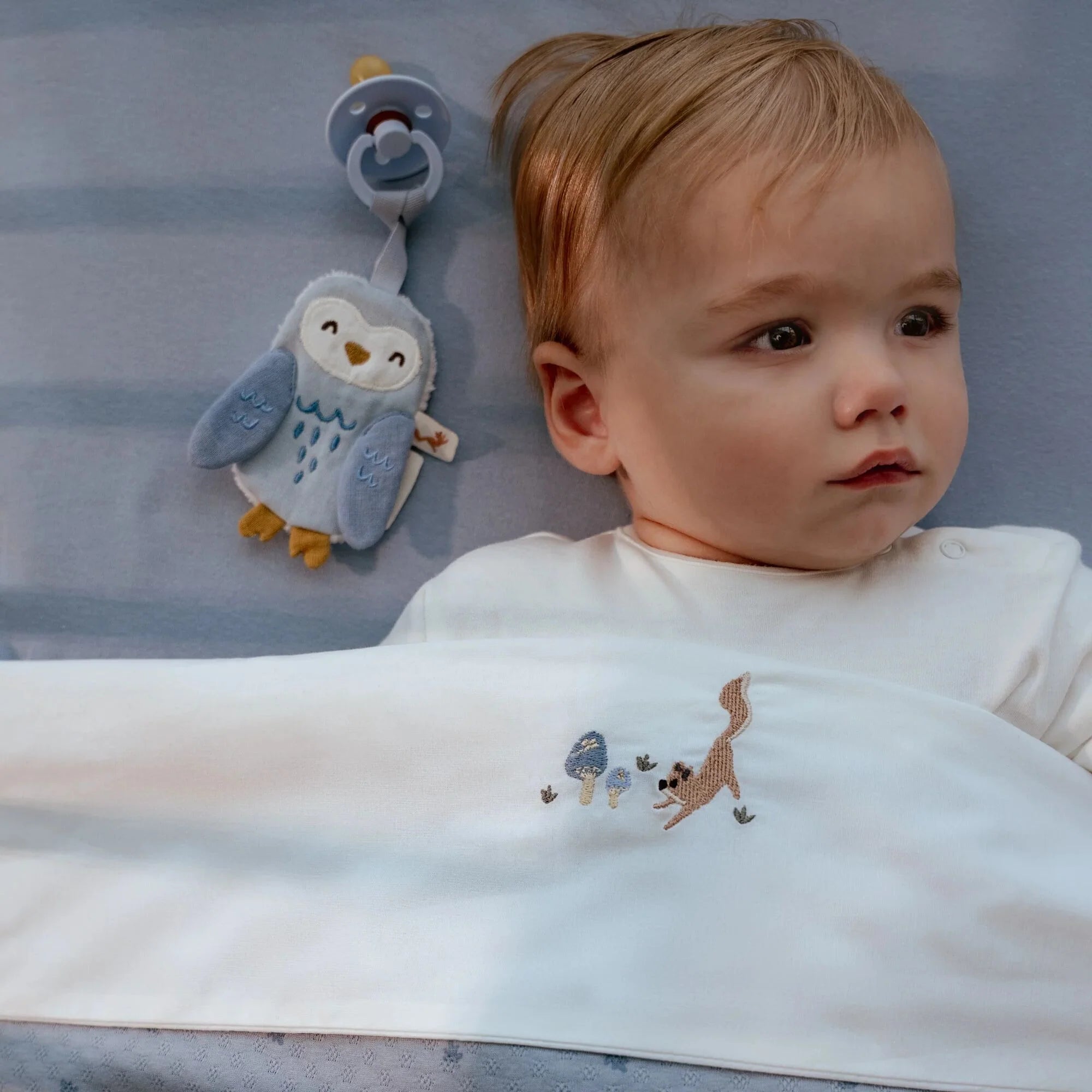 Pacifier Holder – Blue Forest Friends – Little Dutch