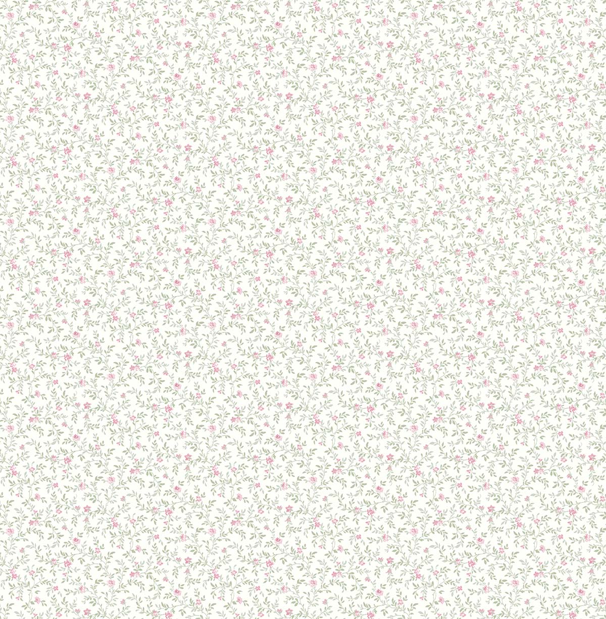 Lyna - Rosa de moda