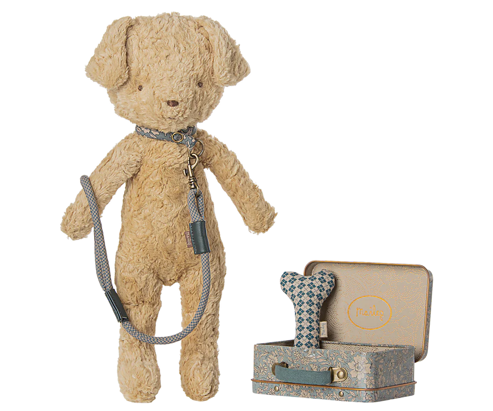 Puppy Accessories - Blue