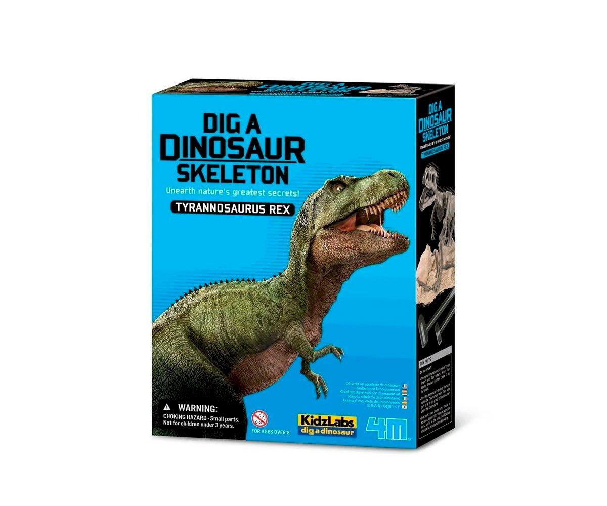 Kit de escavação de dinossauros