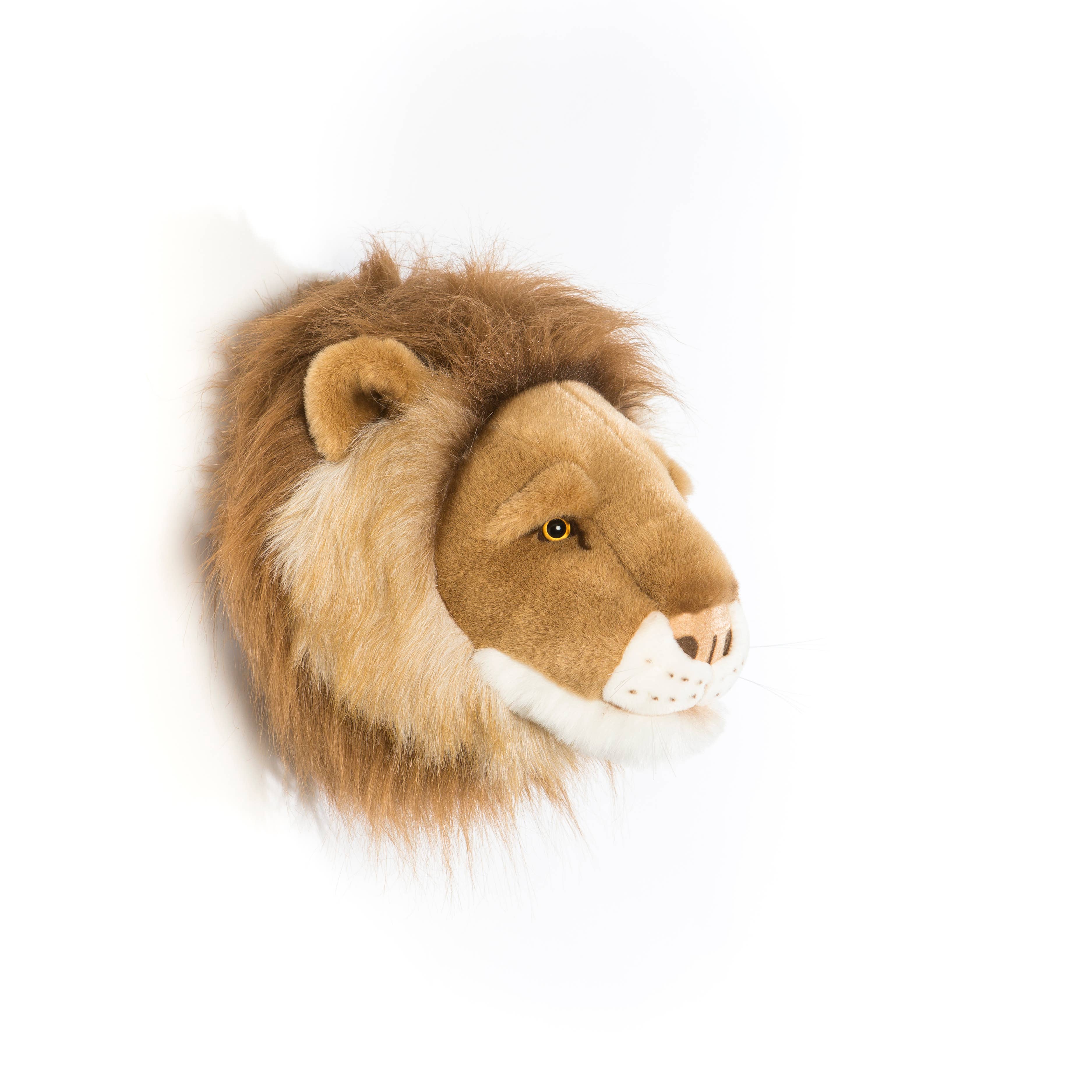 César el León - Cabeza de pared