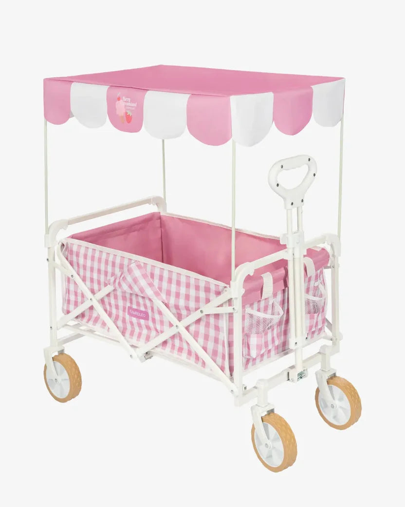 Carrinho Dobrável Multiusos Infantil com Rodas