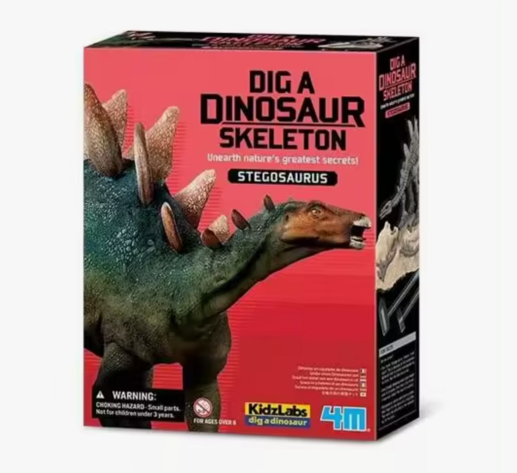 Kit de escavação de dinossauros