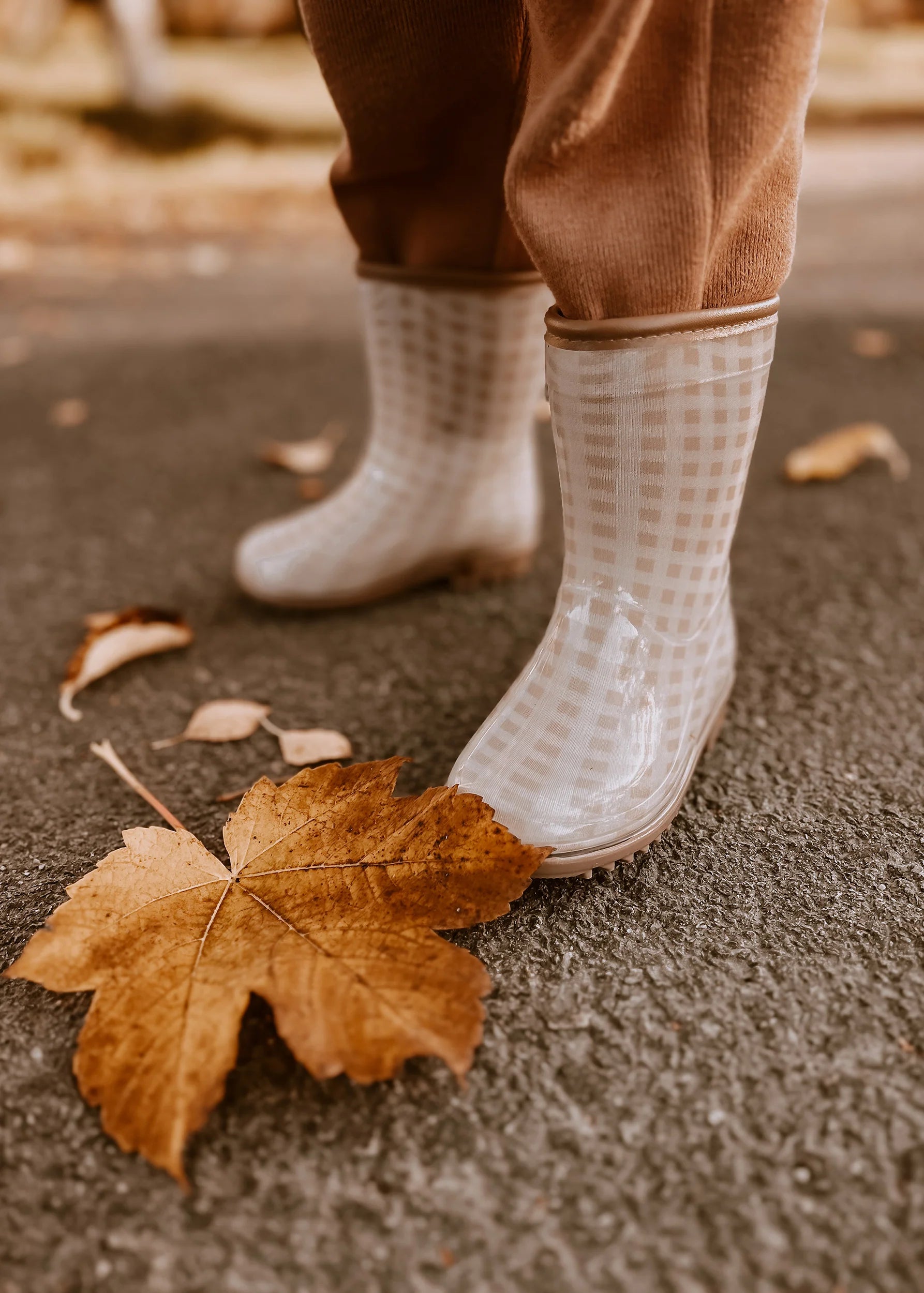 Waterproof galoshes