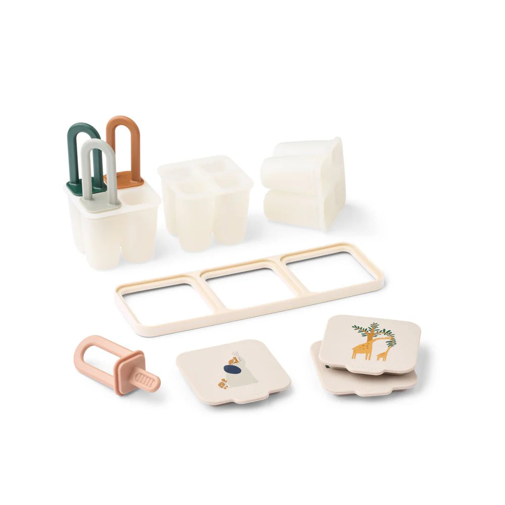 Molds for First Baby Food and Ice Cream