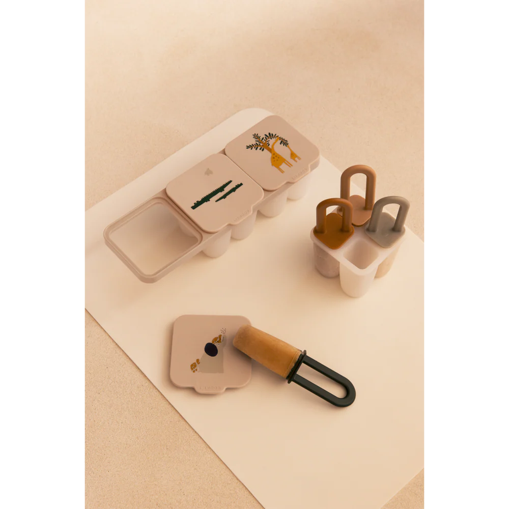 Molds for First Baby Food and Ice Cream