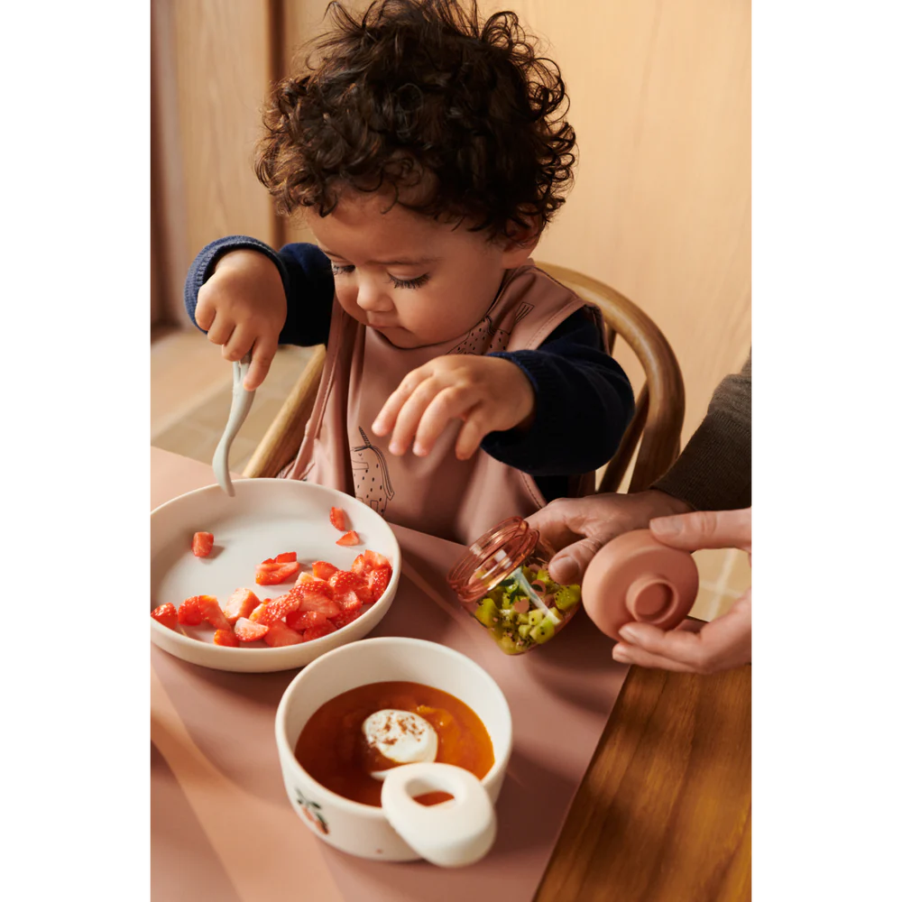 Snack Boxes (Pack of 4)