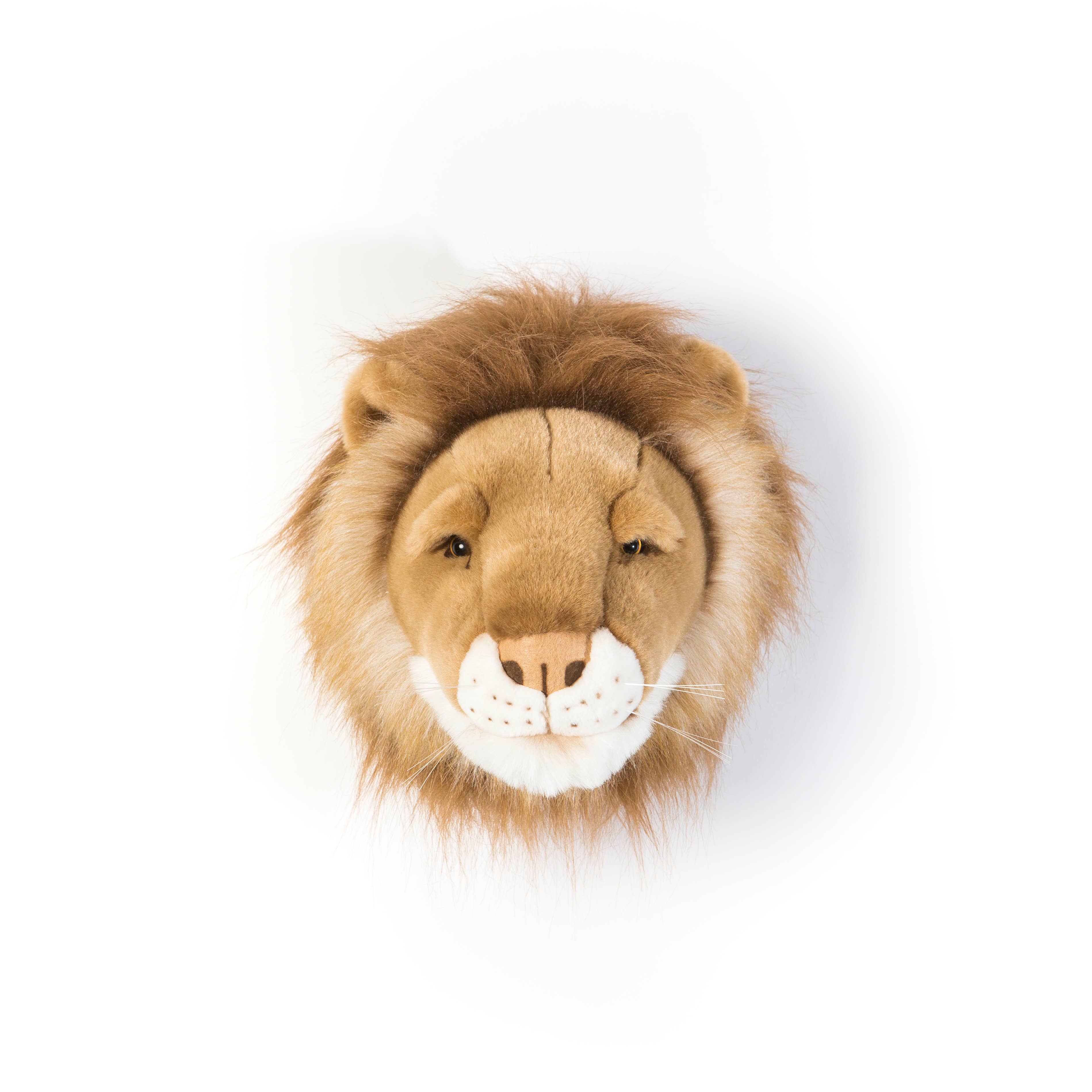 César el León - Cabeza de pared