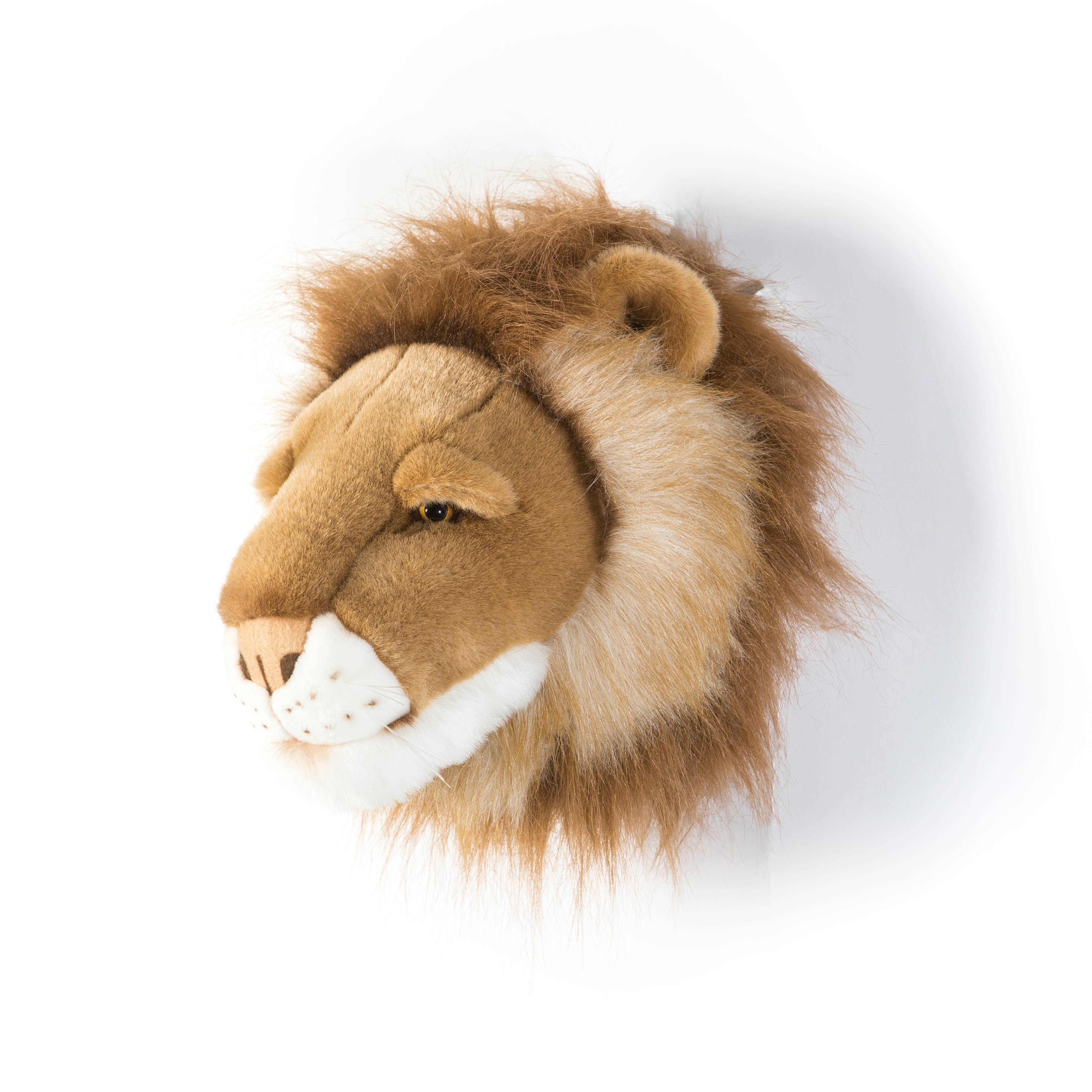 César el León - Cabeza de pared