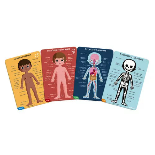 Rompecabezas educativo del cuerpo humano