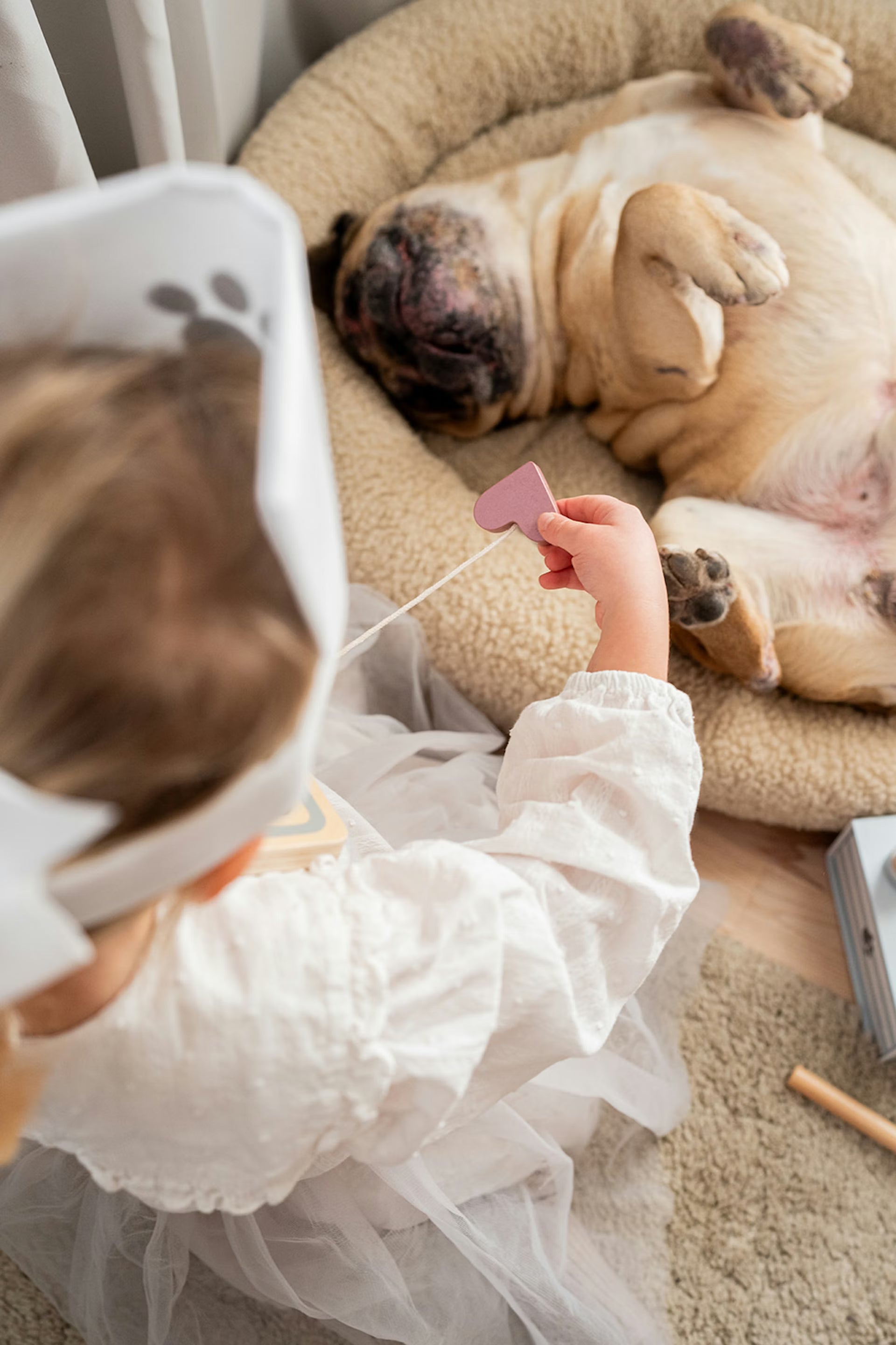 Mala de Veterinário em Madeira – Jabadabado