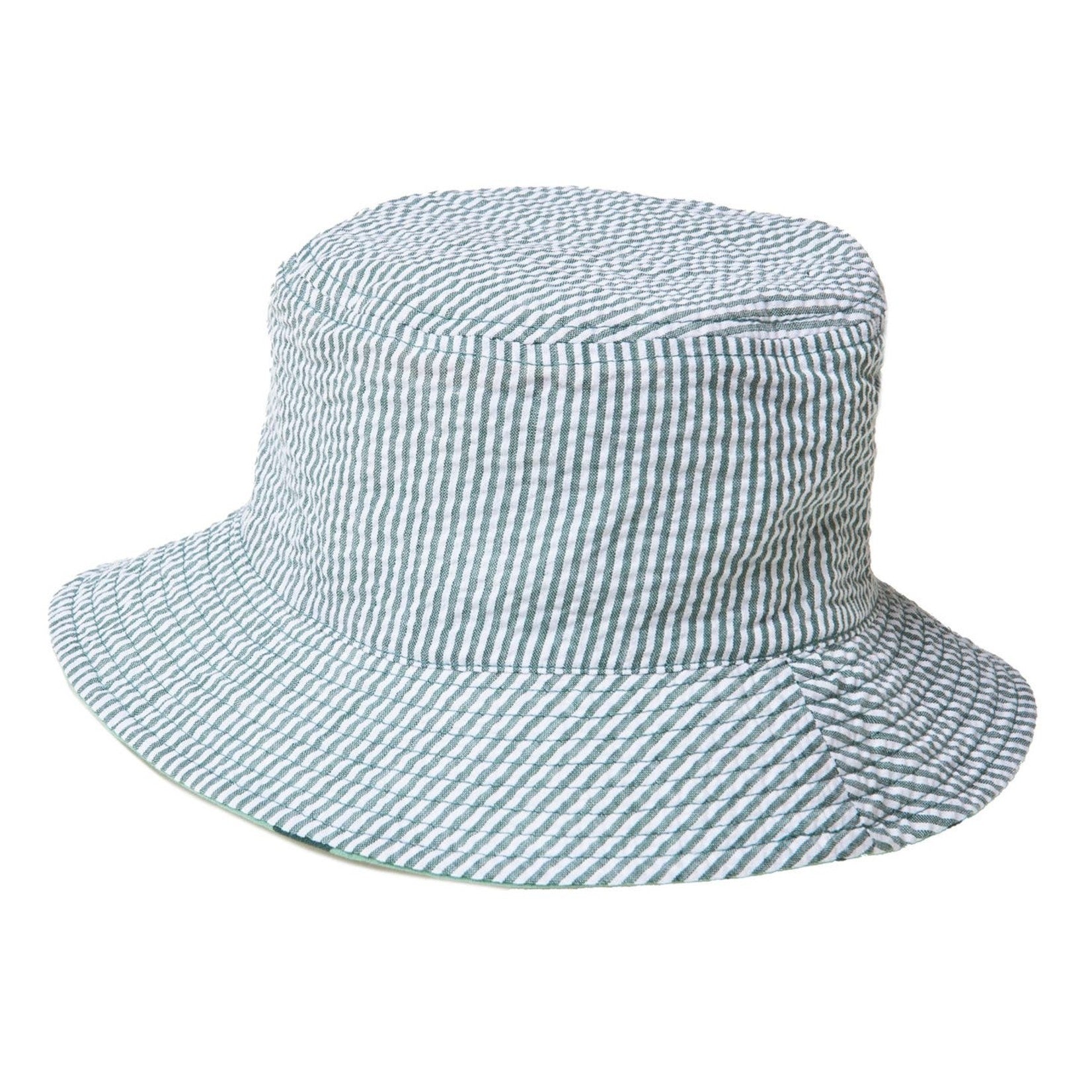 Sombrero de dinosaurio