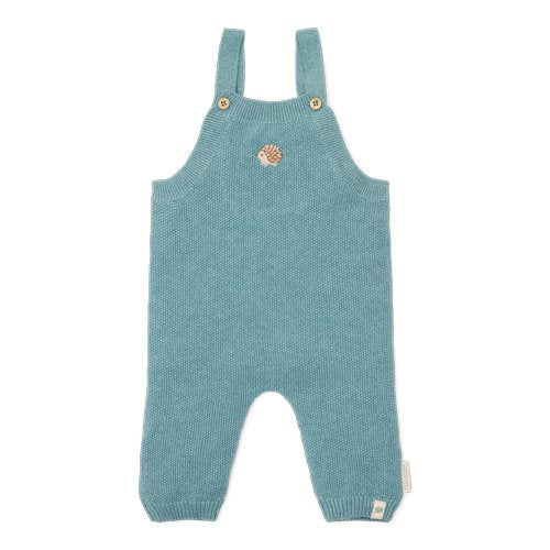 Forest Friends blue knitted dungarees