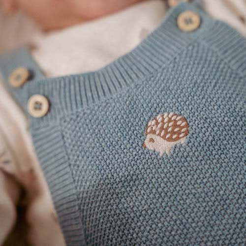 Forest Friends blue knitted dungarees