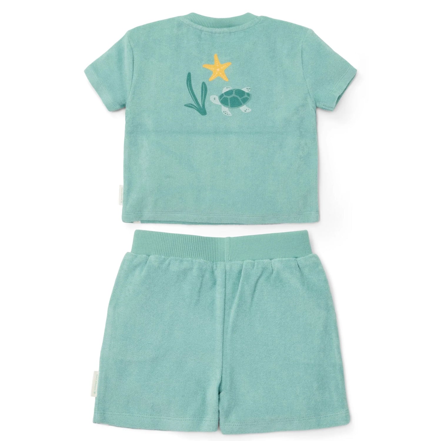 Camiseta y pantalones cortos - Conchas y rayas