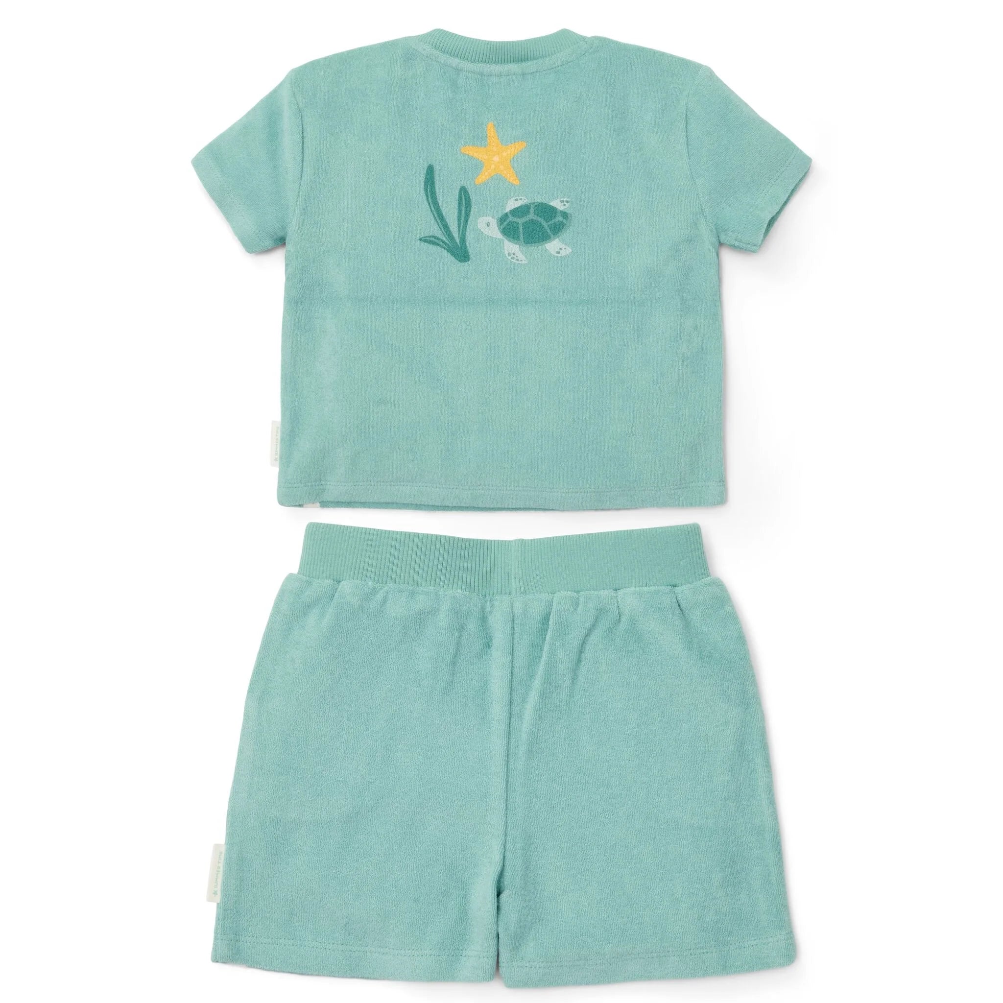 Camiseta y pantalones cortos - Conchas y rayas