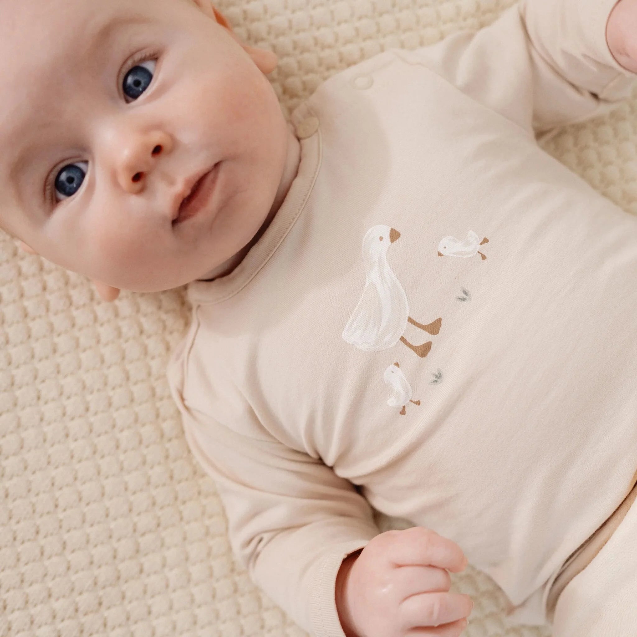 Little Dutch – Camisola de Manga Comprida Areia Little Goose – Newborn Naturals