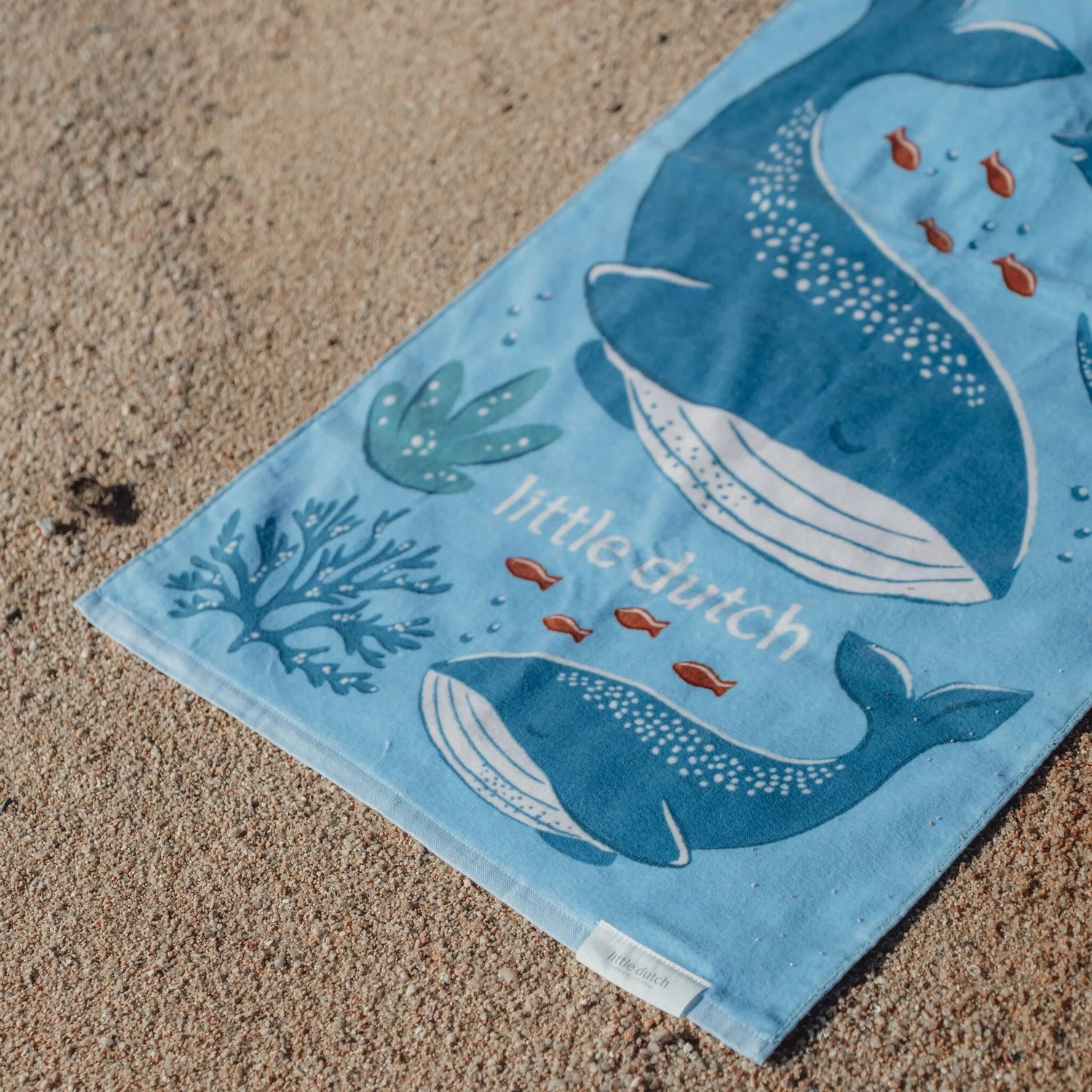 Ocean World Kids&