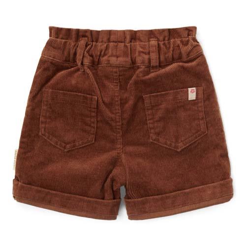 Calções de Bombazina Walnut Brown