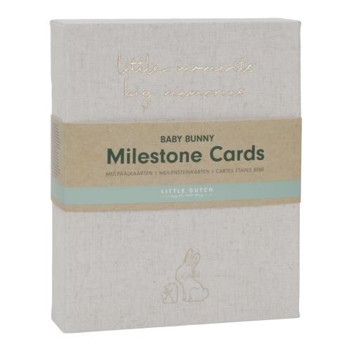 Baby Bunny Milestone Cards