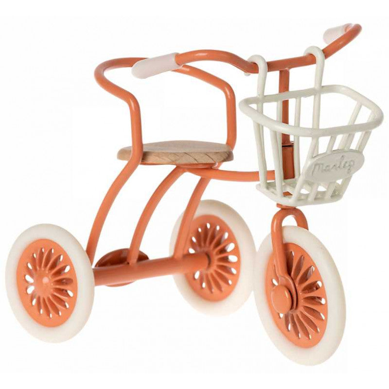 Cesta de triciclo