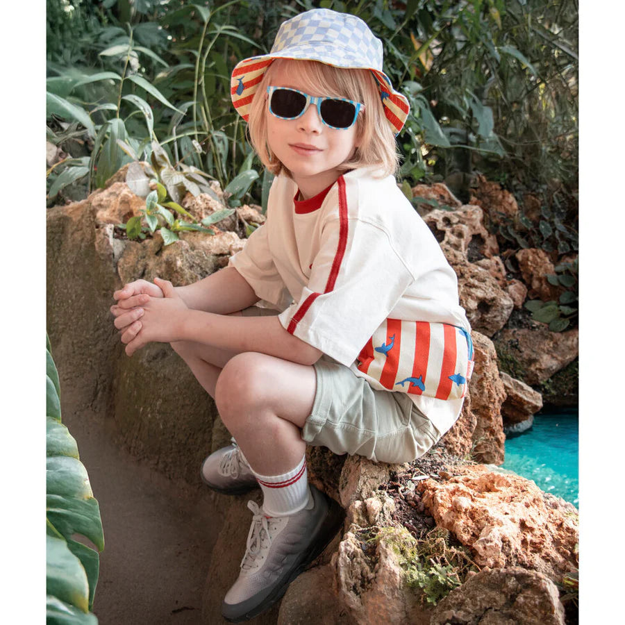 Two tone stripy sunglasses