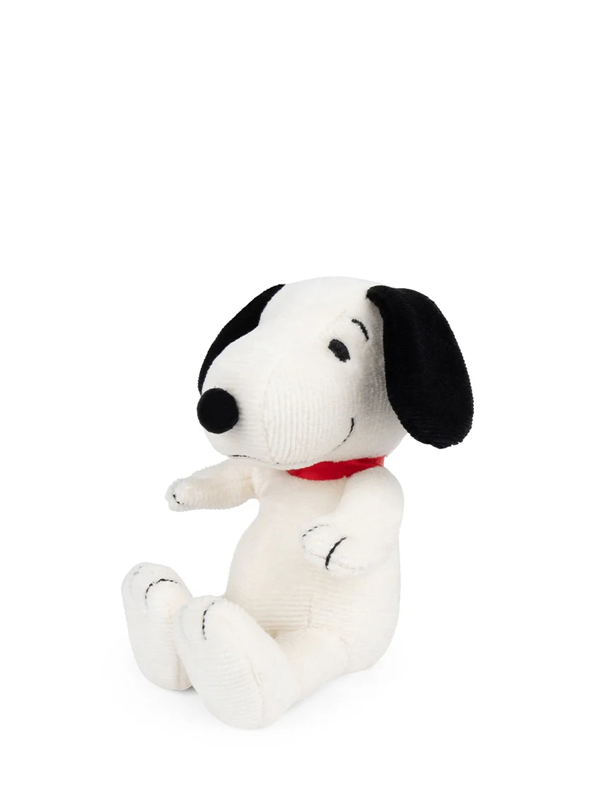 Snoopy in Giftbox