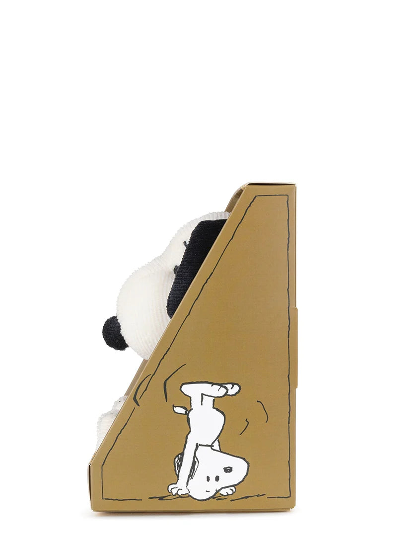 Snoopy in Giftbox