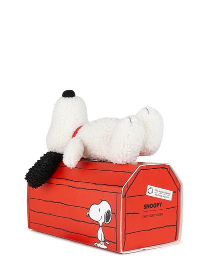 Snoopy in Giftbox