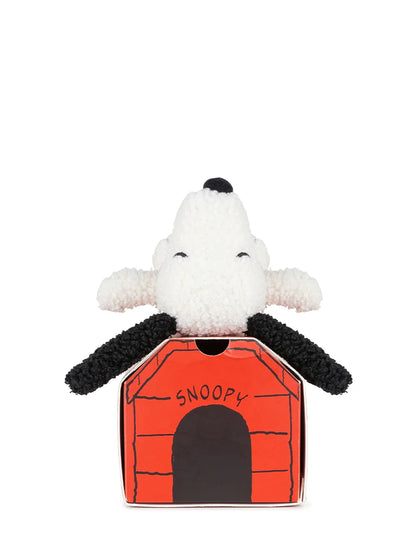 Snoopy in Giftbox