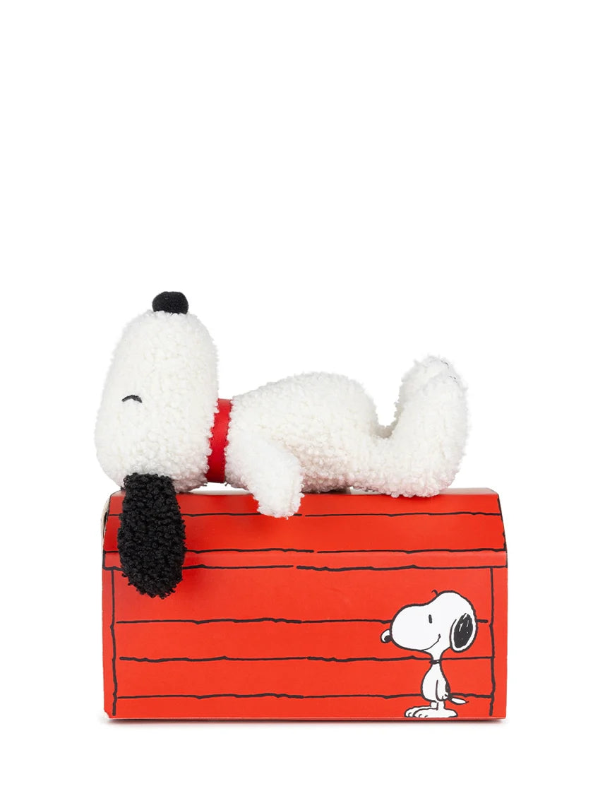 Snoopy in Giftbox