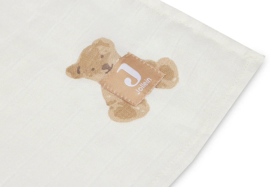 Teddy Bear Swaddle