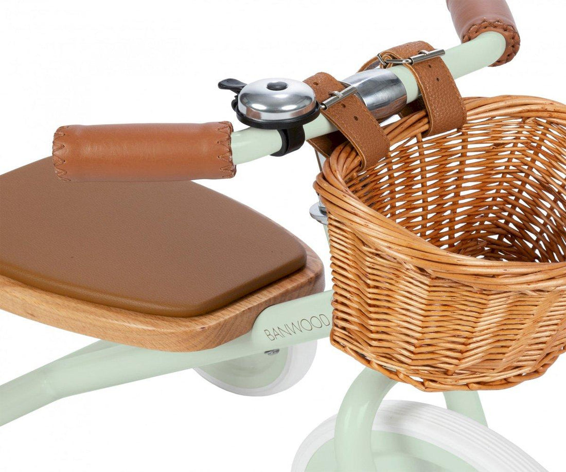 Banwood Tricycle - Pale Mint