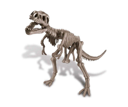 Dinosaur Dig Kit