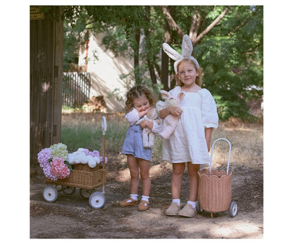 Petal Pink Rattan Luggy Basket – A wheeled basket for children