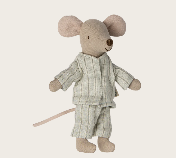 Irmão mais velho ratinho numa caixa de fósforos