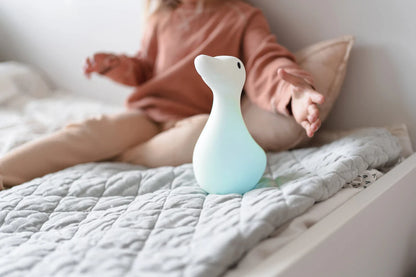 Patinha presence light