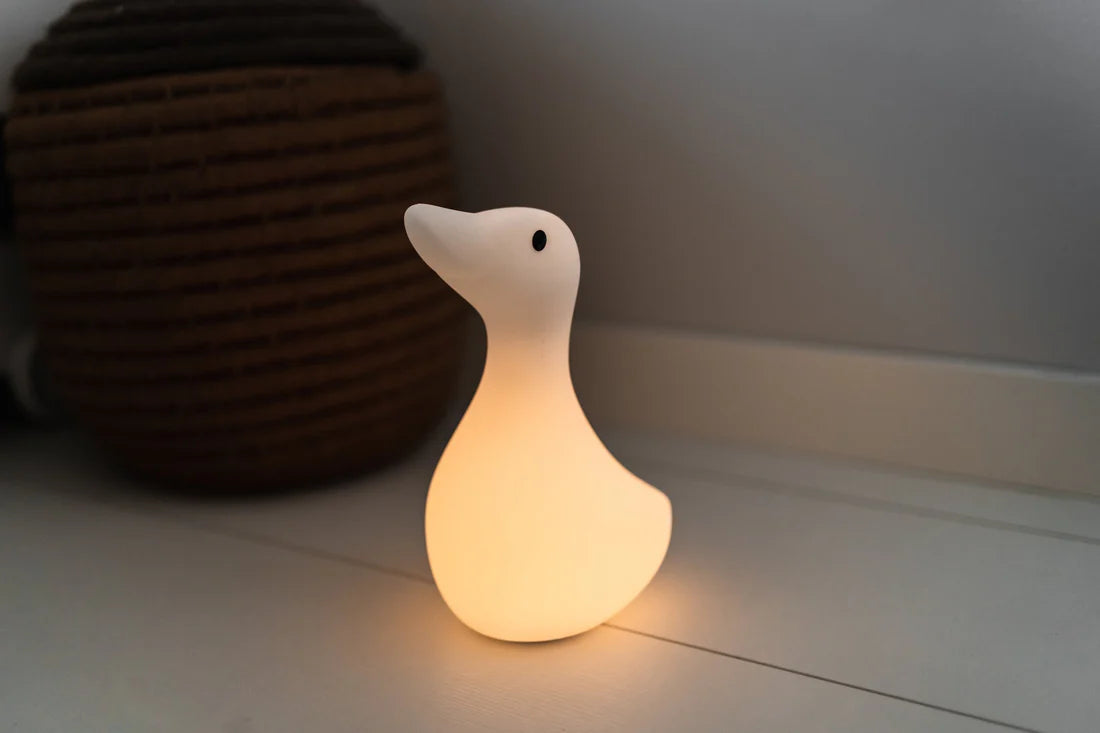 Patinha presence light