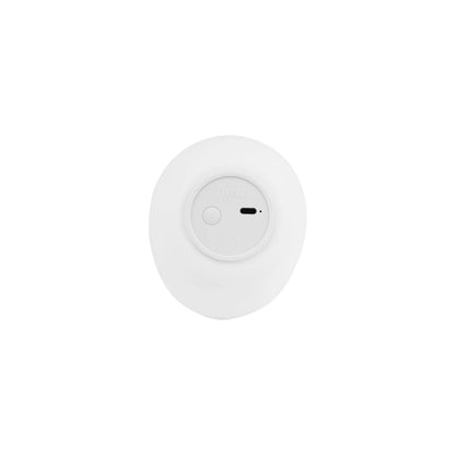 Patinha presence light