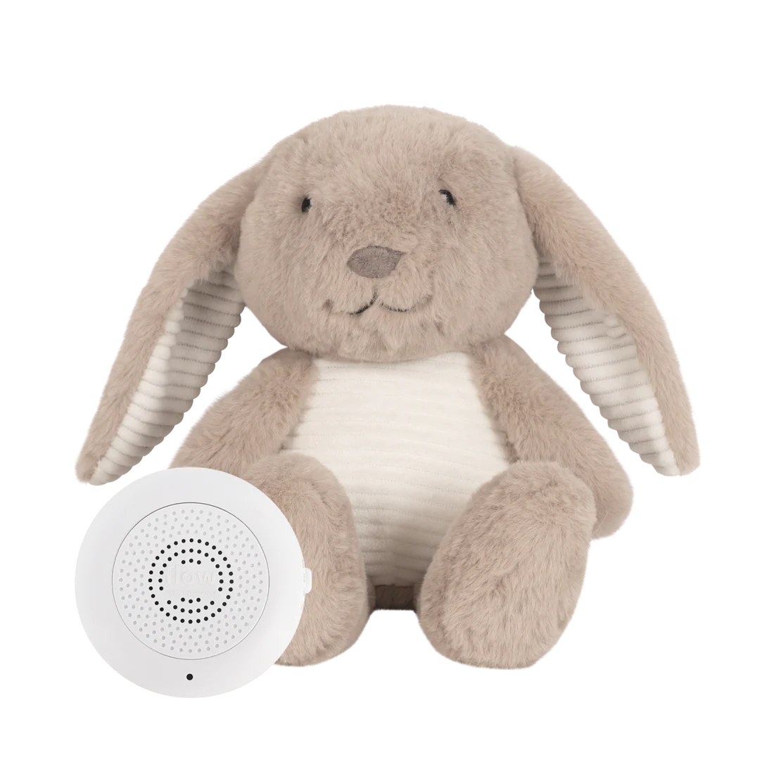 White Noise - Milo Bunny