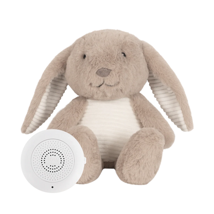 White Noise - Milo Bunny