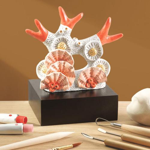 Atelier 85 – Modelagem – Coral