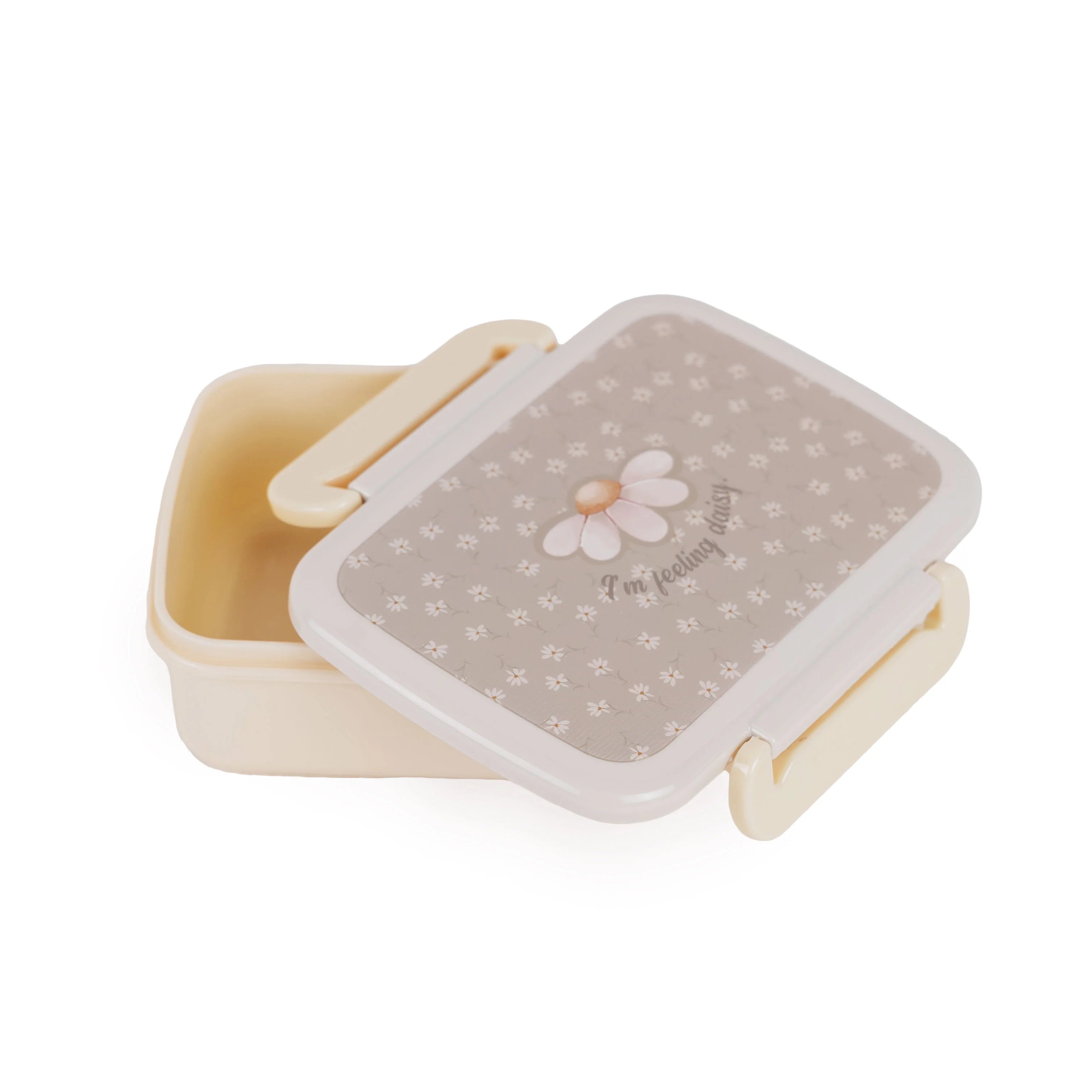 Lunch box