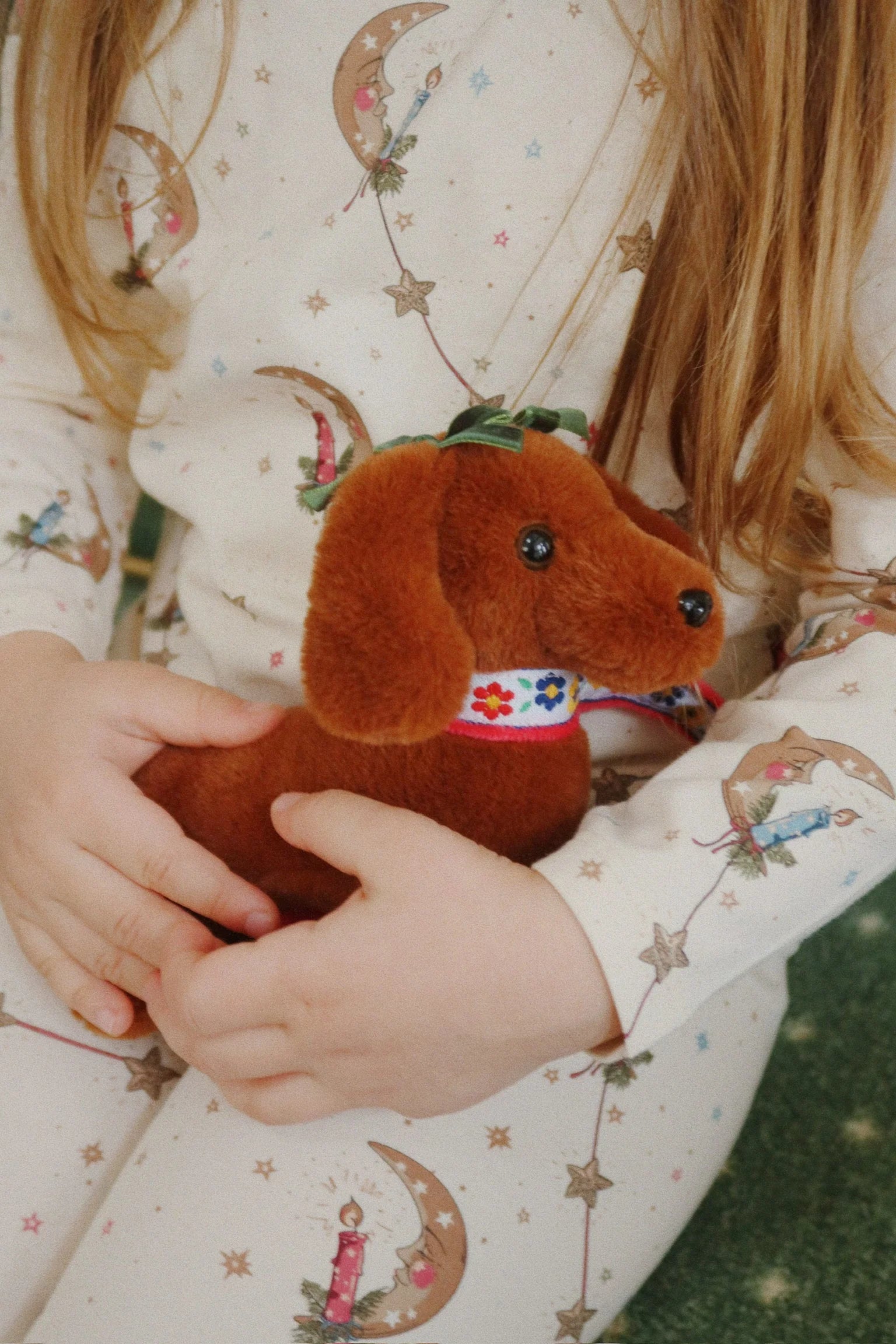 Cãozinho de estimação