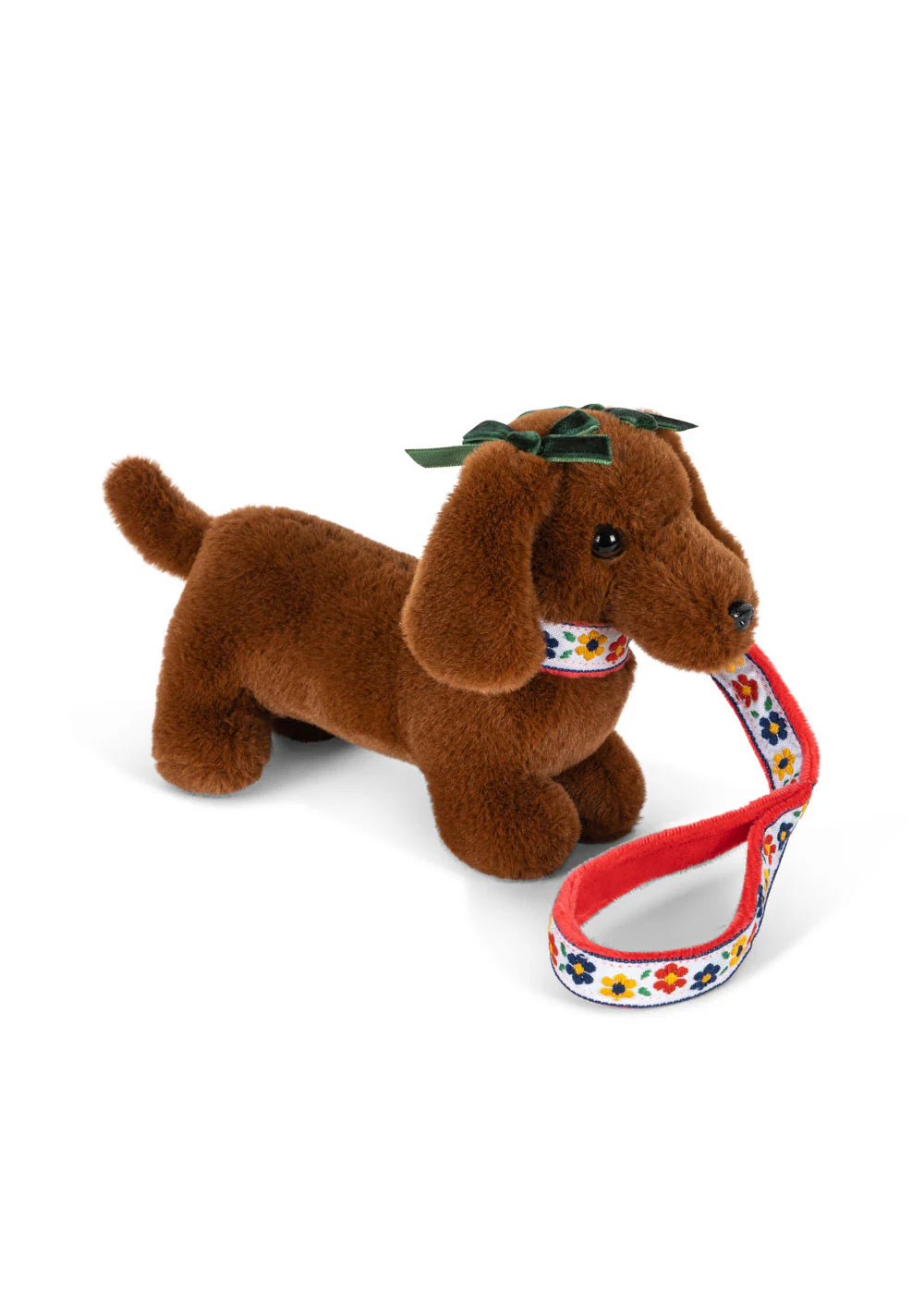 Cãozinho de estimação