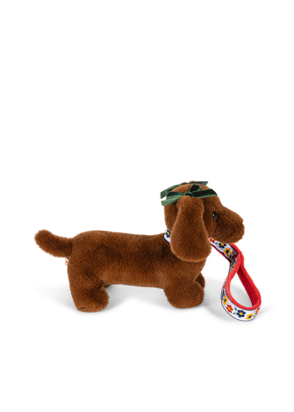 Cãozinho de estimação